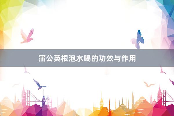 蒲公英根泡水喝的功效与作用