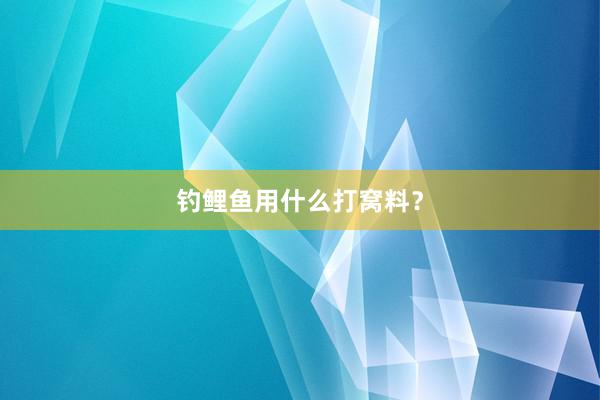 钓鲤鱼用什么打窝料？