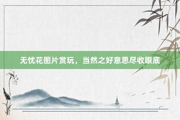 无忧花图片赏玩，当然之好意思尽收眼底